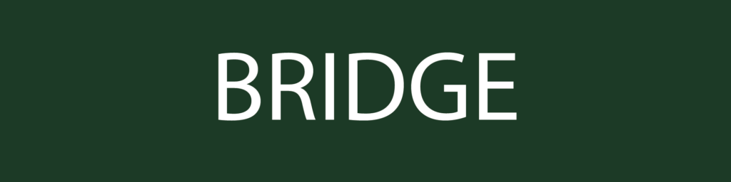 Logo BRIDGE