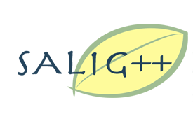 Logo SALIG++